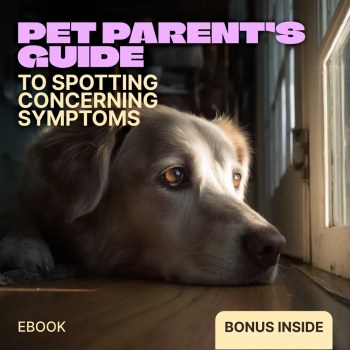 Pet Parenting: What It Means and How to Do It Well
