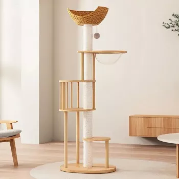 Scratching Posts & Cats: Benefits, Risks, Best Picks
